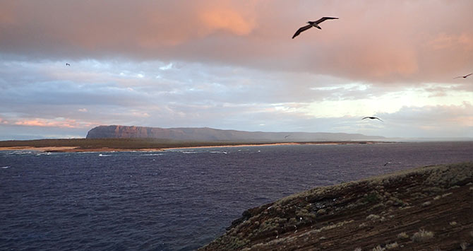 Niʻihau bird sanctuary