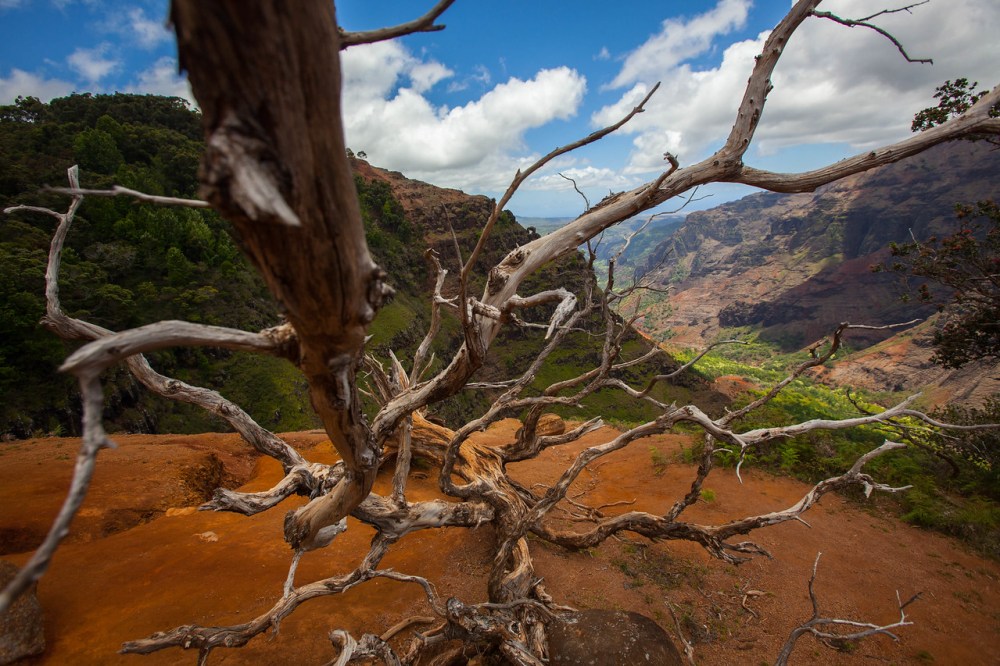 Adventure tours Kauai