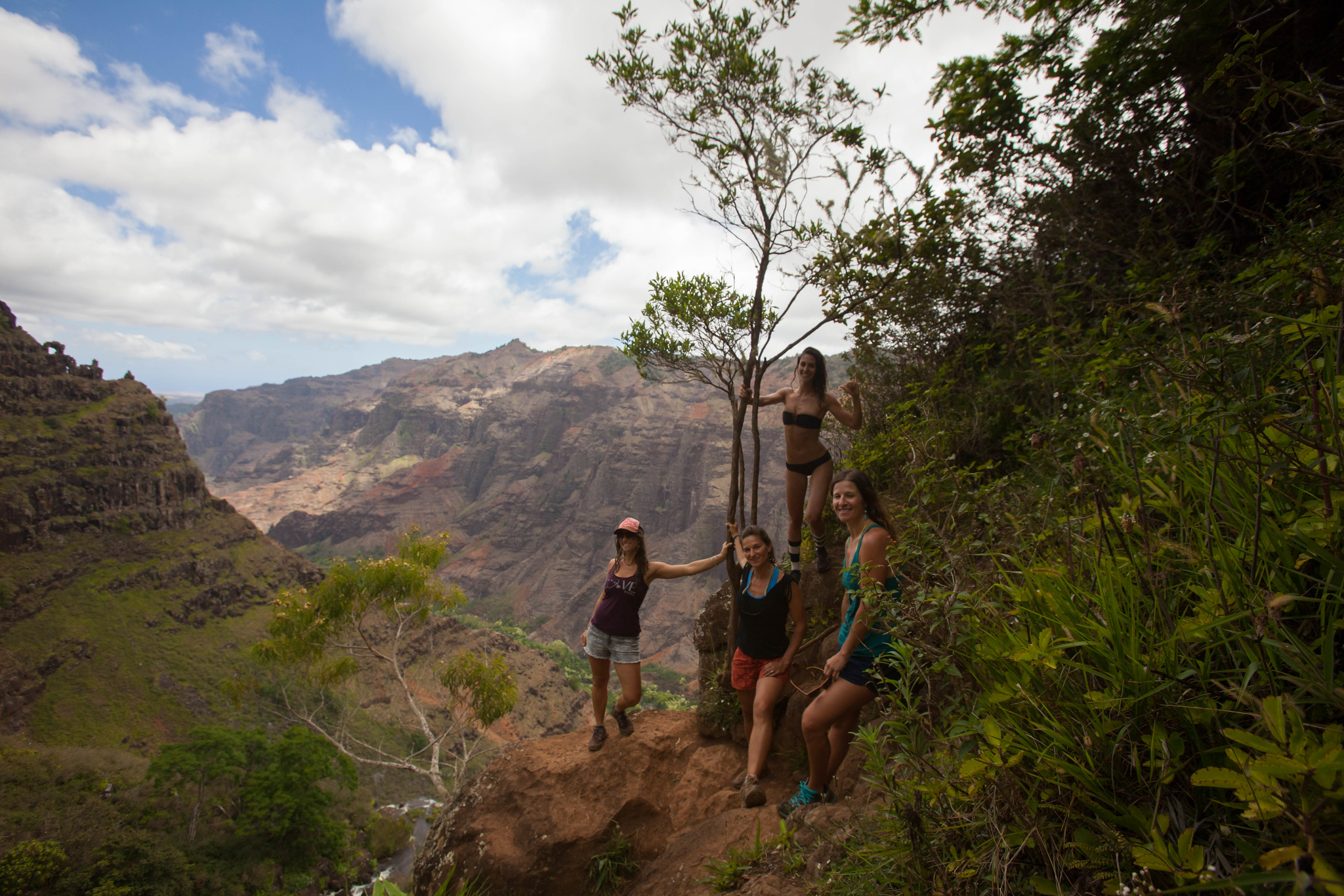 Waimea Canyons