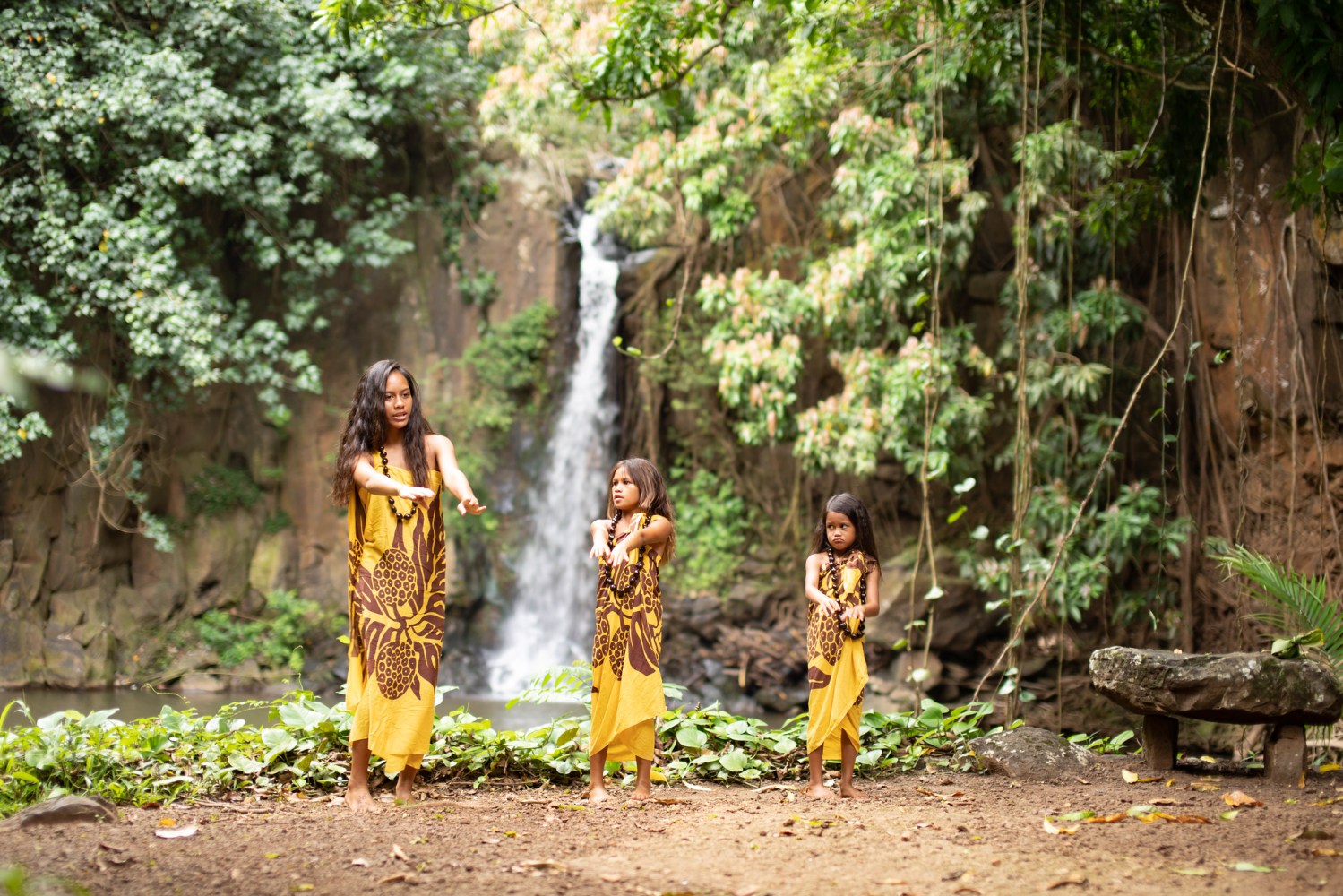 Hawaiian Language 101