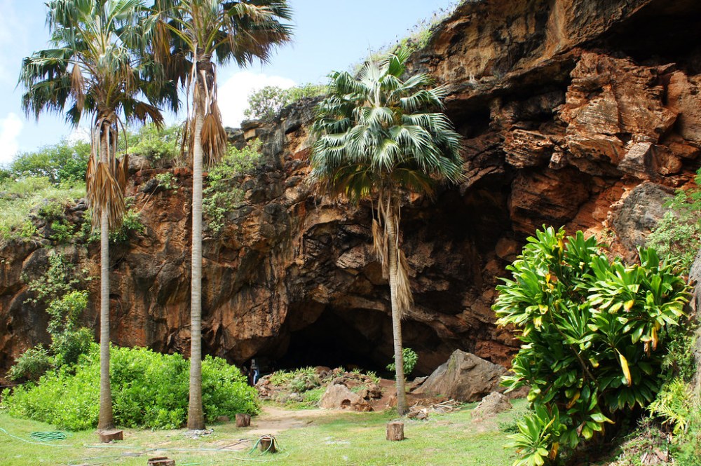 Makauwahi Cave Reserve